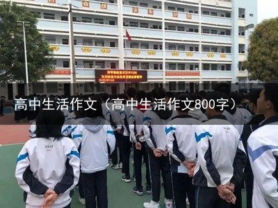 高中生活作文（高中生活作文800字）