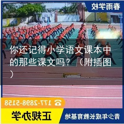 你还记得小学语文课本中的那些课文吗？（附插图）