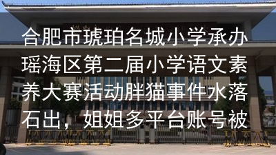 合肥市琥珀名城小学承办瑶海区第二届小学语文素养大赛活动胖猫事件水落石出，姐姐多平台账号被封，“捞女”终于清白了