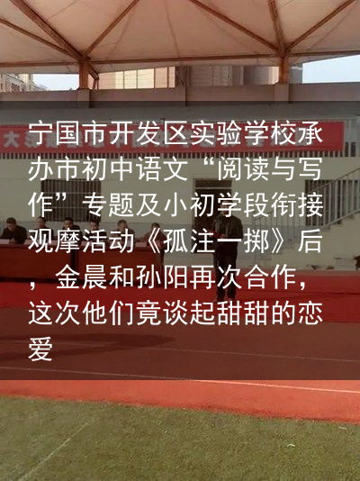 宁国市开发区实验学校承办市初中语文“阅读与写作”专题及小初学段衔接观摩活动《孤注一掷》后，金晨和孙阳再次合作，这次他们竟谈起甜甜的恋爱