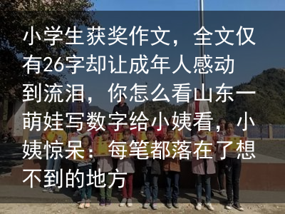 小学生获奖作文，全文仅有26字却让成年人感动到流泪，你怎么看山东一萌娃写数字给小姨看，小姨惊呆：每笔都落在了想不到的地方