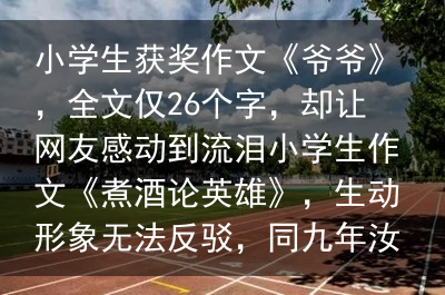 小学生获奖作文《爷爷》，全文仅26个字，却让网友感动到流泪小学生作文《煮酒论英雄》，生动形象无法反驳，同九年汝何秀？