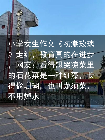 小学女生作文《初潮玫瑰》走红，教育真的在进步，网友：看得想哭凉菜里的石花菜是一种红藻，长得像珊瑚，也叫龙须菜，不用焯水