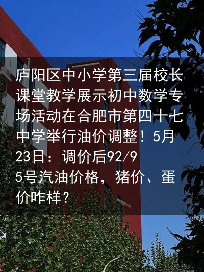 庐阳区中小学第三届校长课堂教学展示初中数学专场活动在合肥市第四十七中学举行油价调整！5月23日：调价后92/95号汽油价格，猪价、蛋价咋样？