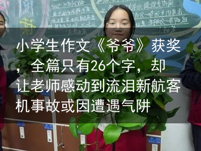 小学生作文《爷爷》获奖，全篇只有26个字，却让老师感动到流泪新航客机事故或因遭遇气阱