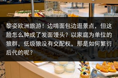 黎姿欧洲旅游！边啃面包边逛景点，但这脸怎么肿成了发面馒头？以家庭为单位的狼群，低级狼没有交配权，那是如何繁衍后代的呢？