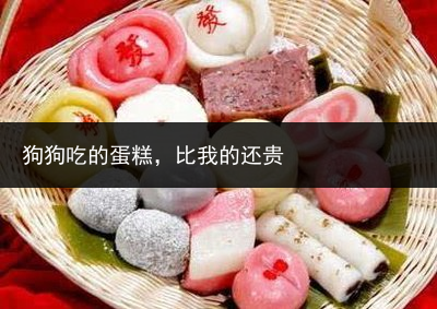 狗狗吃的蛋糕，比我的还贵